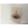 Image 2 : Natural Pink Tourmaline 1.80 CT Ring, Diamond 1.50 CT 14K Rose Gold :7 Grams Diamond:1.5 CT