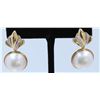 Image 2 : 14KY/G  MABE PEARLD AND DIAMOND EARRINGS/4.5 GRAMS/DIAMOND 0.07CT/PEARL 16.00MM APPROX