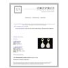 Image 3 : 14K Y/G MABE PEARL AND DIAMOND EARRINGS/4.45 GRAMS/DIAMOND 0.08CT/PEARL 19.00Mm X 12.00Mm  APPROX