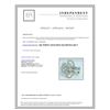 Image 3 : 14K WHITE GOLD RING 6.20GRAM / DIAMOND 0.40CT GH COLOR Si CLARITY