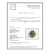 Image 3 : 6.51CT NATURAL CEYLON GREEN SAPPHIRE 14K WHITE GOLD RING