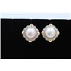 Image 1 : 14K Y/G MABE PEARL AND DIAMOND EARRING/4.3 GRAMS/DIAMOND 0.02CT/PEARL 15.00MM