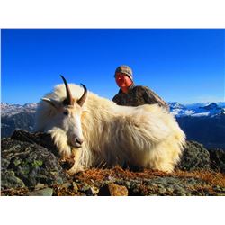 7 Day Mountain Goat Hunt