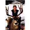 Image 1 : 7 Day Mule Deer Rut Hunt for 2 Hunter
