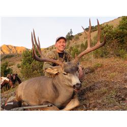 7 Day Mule Deer Alpine Hunt for 2 Hunter