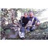 Image 3 : 7 Day Mule Deer Alpine Hunt for 2 Hunter