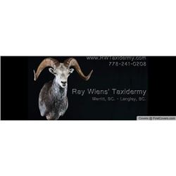 $500 Gift Certificate from Ray's Taxidermy