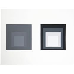 Josef Albers, P1, F23, I2 from Formulation: Articulation - Portfolio, Silkscreen