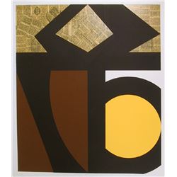 Ray Elman, Is there life after Cornell?, Serigraph with Collage