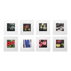 Donald Sultan, Fruits and Flowers Portfolio of 8 Silkscreens