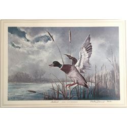 Peter Darro, Mallard Duck - Anas Platyrhynchos, Offset Lithograph