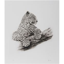 Joseph Vance, Leopard In A Tree, Etching