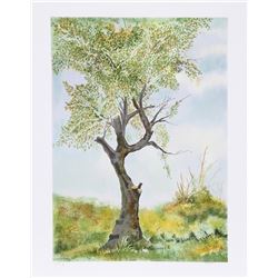 Fioravanti, Cherry Tree in Norwood Glen, Lithograph