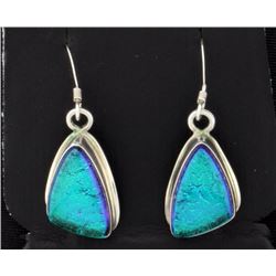 Sterling Silver Drop Earrings