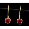 Image 1 : Ruby Heart Earrings