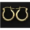 Image 1 : Small Hoop Earrings