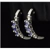 Image 2 : Tanzanite & Diamond Earrings
