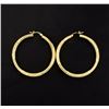 Image 1 : Large Hoop Earrings