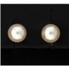 Image 1 : Pearl Stud Earrings