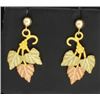 Image 1 : Leaf Dangle Earrings