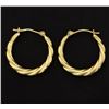 Image 1 : Small Hoop Earrings