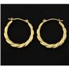Image 1 : Small Hoop Earrings