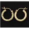 Image 1 : Small Hoop Earrings