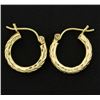 Image 1 : Small Hoop Earrings