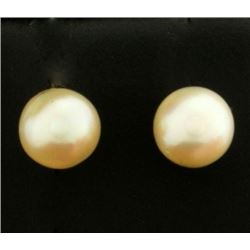 Stud Pearl Earrings