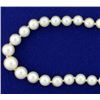 Image 2 : Graduated Natural Akoya Pearl Necklace with 14k White Gold Clasp