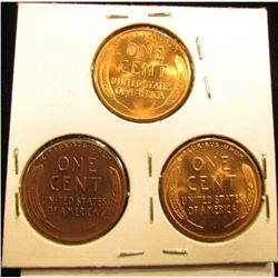 1955 P D S Lincoln Cent Set of 3 coins    RD-65