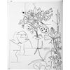 Image 2 : Pablo Picasso 'After'  Tropical Plants c. 1949 Fine Art Print from Museum Artist