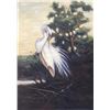 Image 2 : American Beauty Egret Realism Huge Original Painting on Canvas