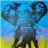 Image 3 : ELEPHANT HUGE SALE POP CANVAS COLORFUL