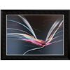 Image 1 : Alvarez Fantastic Abstract Ltd Ed Of 100 Huge Sale
