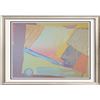 Image 1 : Pastel Abstract Hand Signed Dealer Serigraph Sale