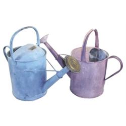 Lot of 2: 1 1/2 gallon watering cans w/sprinkler heads, one blue & one violet, 14" H.