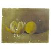 Image 1 : Still life oil on canvas, oranges, signed M.B., 12"W x 9"H.