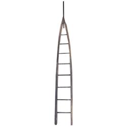 Old tapered apple ladder in excellent condition, 142"L.