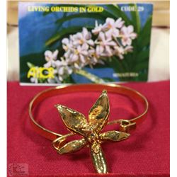 LIVING ORCHIDS IN 22K GOLD MOUNTED MALAYSIA