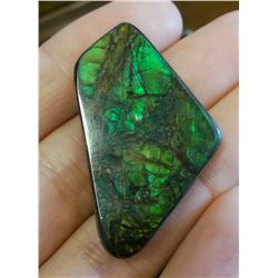 GREEN FIRE NATURAL AMMOLITE GEMSTONE
