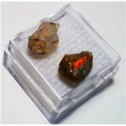 LOT OF 2 ROUGH OPALS