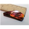 Image 1 : RED FIRE AMMOLITE GEMSTONE