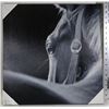 Image 1 : HORSE PICTURE