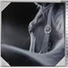 Image 1 : HORSE PICTURE