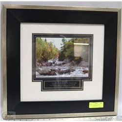 SIGNED 19 X 20 ALICIA SOAVE PICTURE A/P #97/500