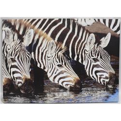 ZEBRA PRINT ON CANVAS