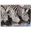 Image 1 : ZEBRA PRINT ON CANVAS