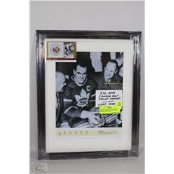 SYL APPS CANADA POST STAMP FRAMED LEAF STAR