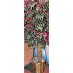 6FT SHOWHOME SILK TREE - TWIST TRUNK
